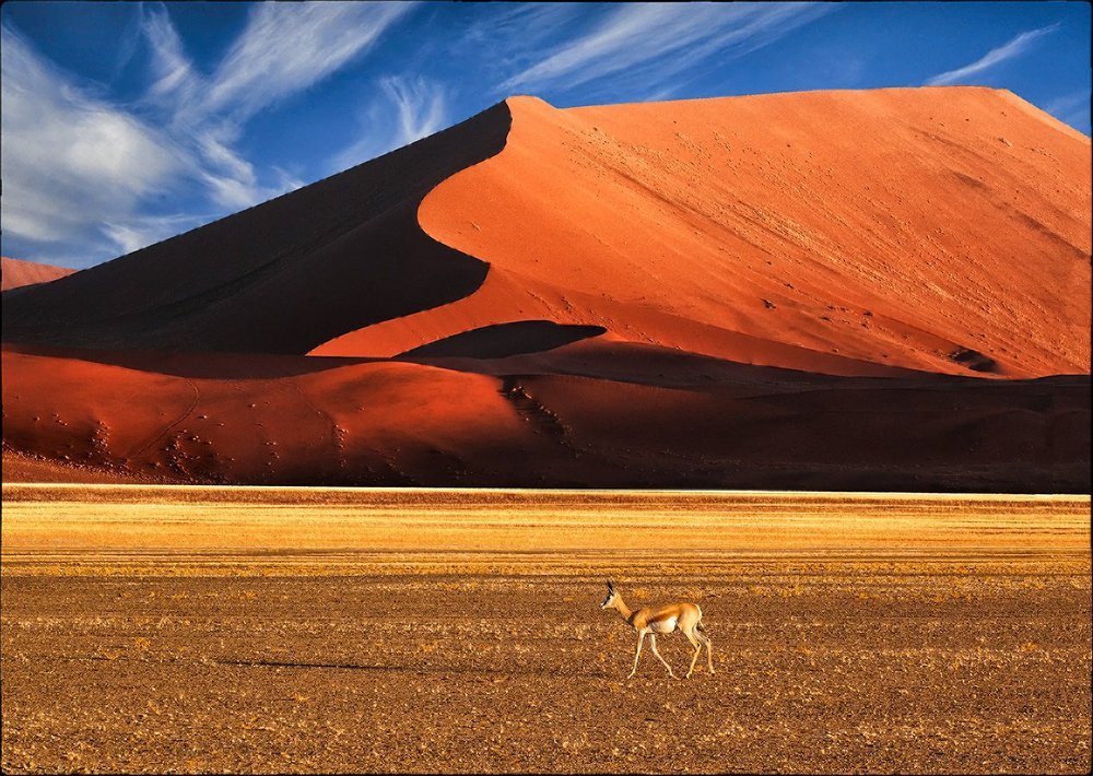 Photograph by Andre Victor