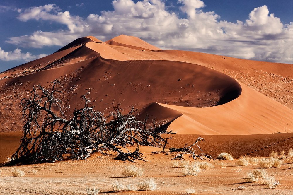 Photograph by Andre Victor