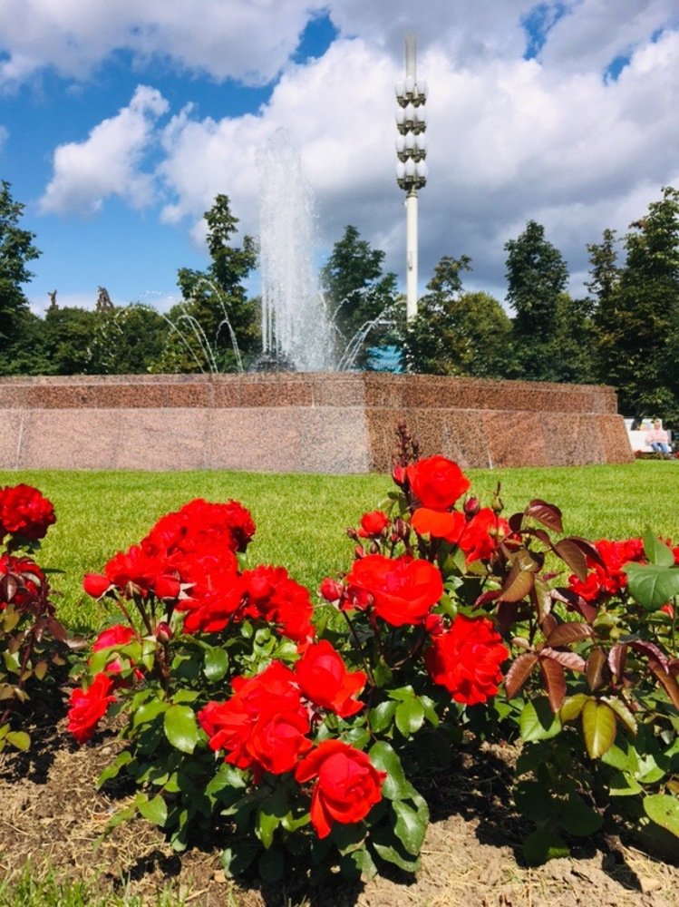 Photograph by Ирина