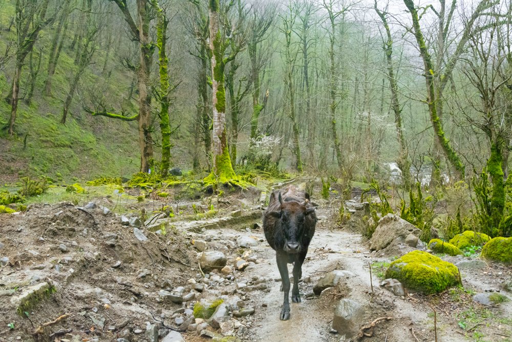 Фотография автора sahar mohamadi