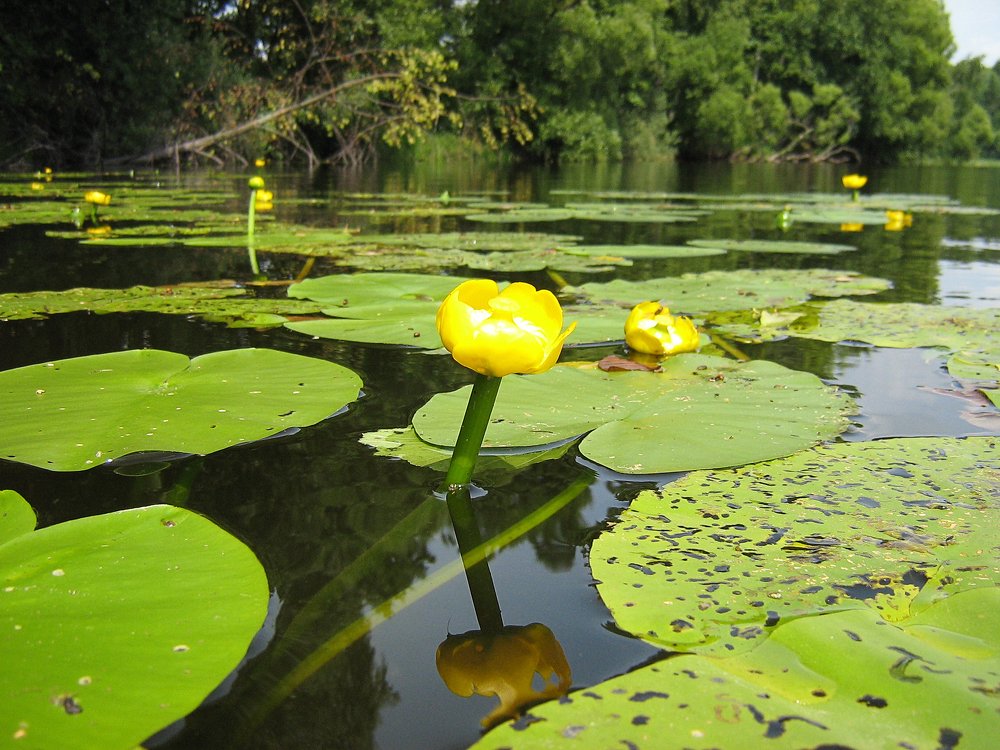 Photograph by Александр Миронов