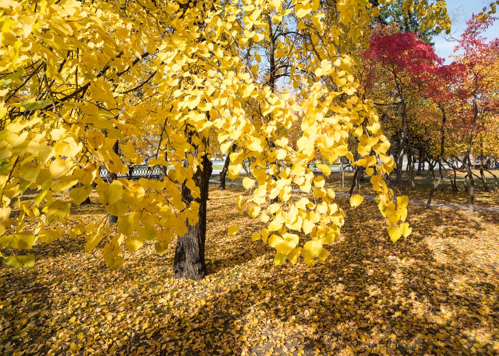 Photograph by Андрей Чернышов