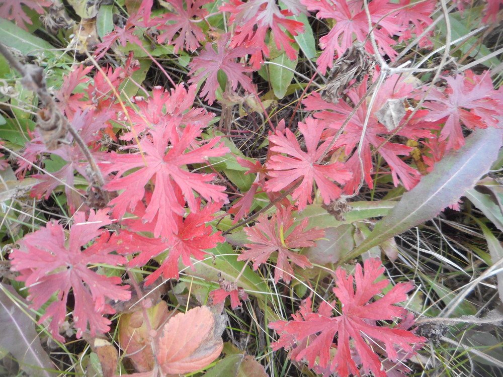 Photograph by Светлана Хоботова