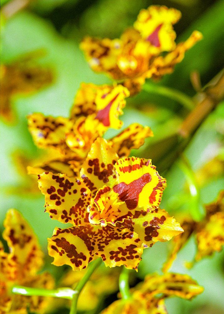 Photograph by Андрей Чернышов