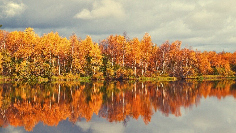 Photograph by Февралев Дмитрий