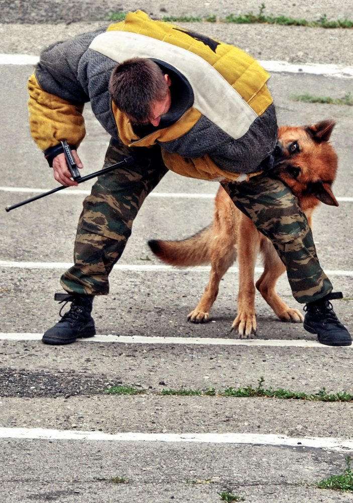 Photograph by Татьяна Зема