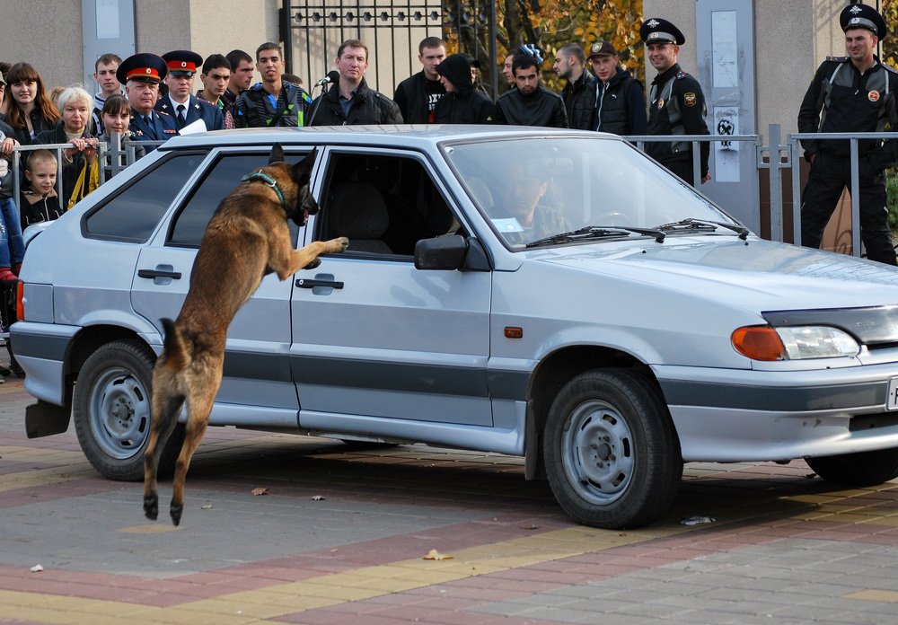 Photograph by Татьяна Зема