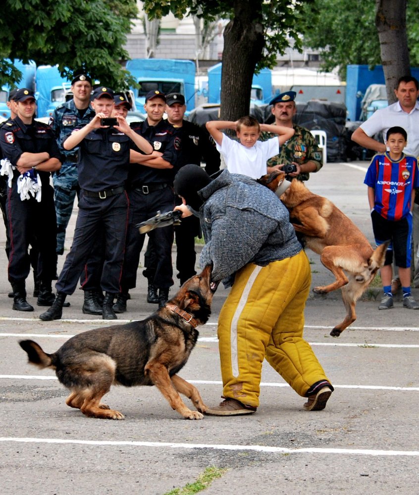 Photograph by Татьяна Зема