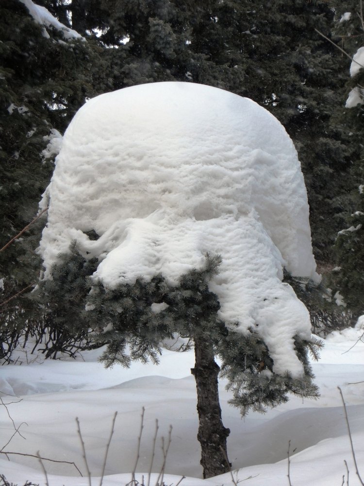 Photograph by Татьяна Иваненкова