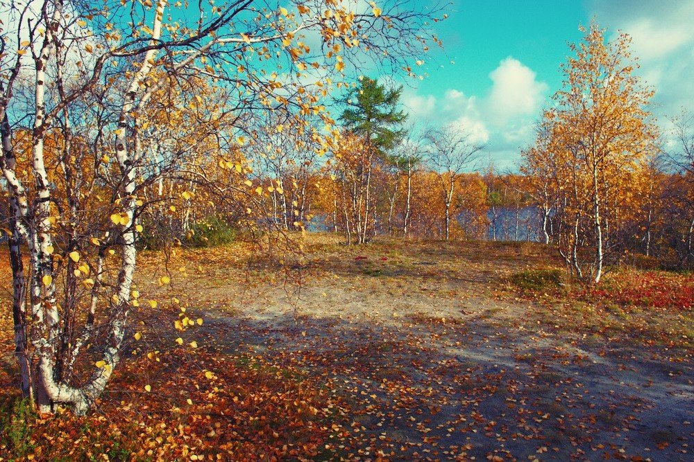 Photograph by Февралев Дмитрий