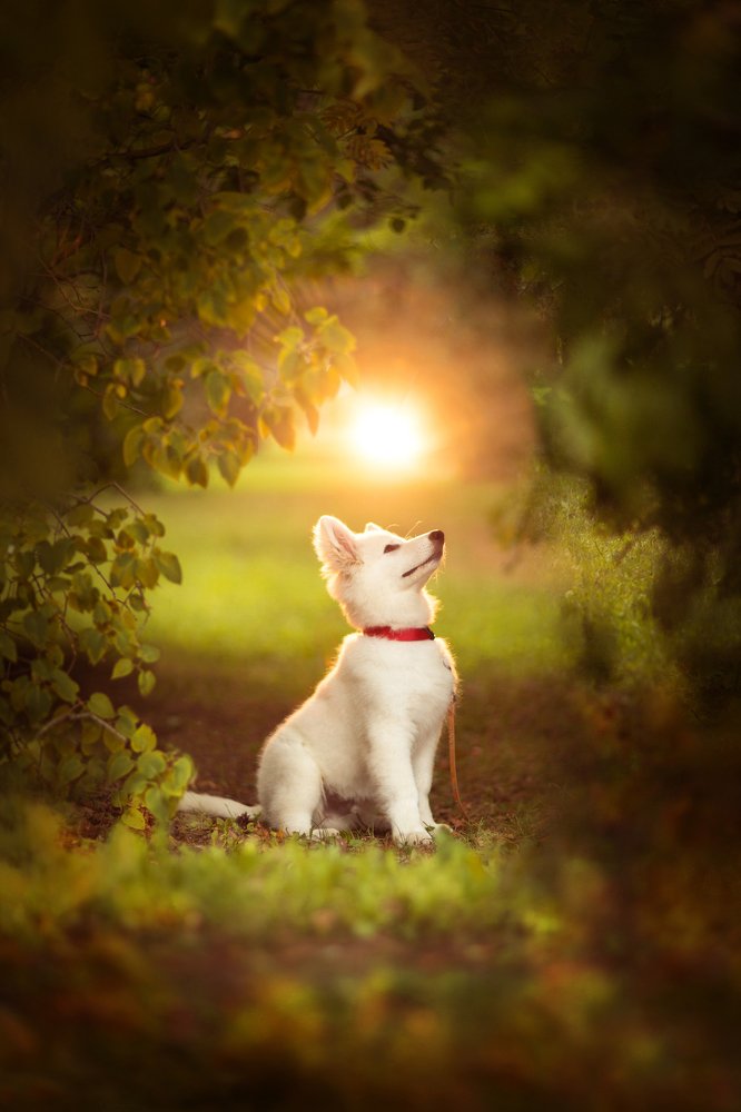 Photograph by Viktoria Baranova