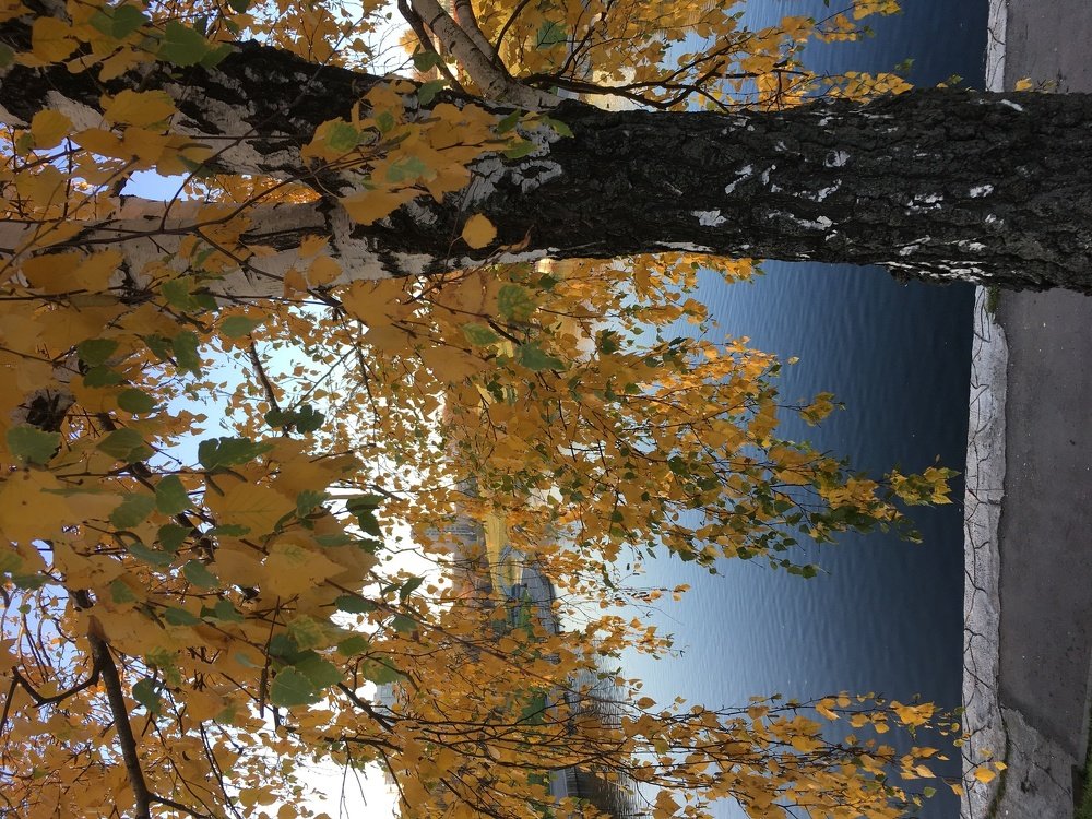 Photograph by Ирина