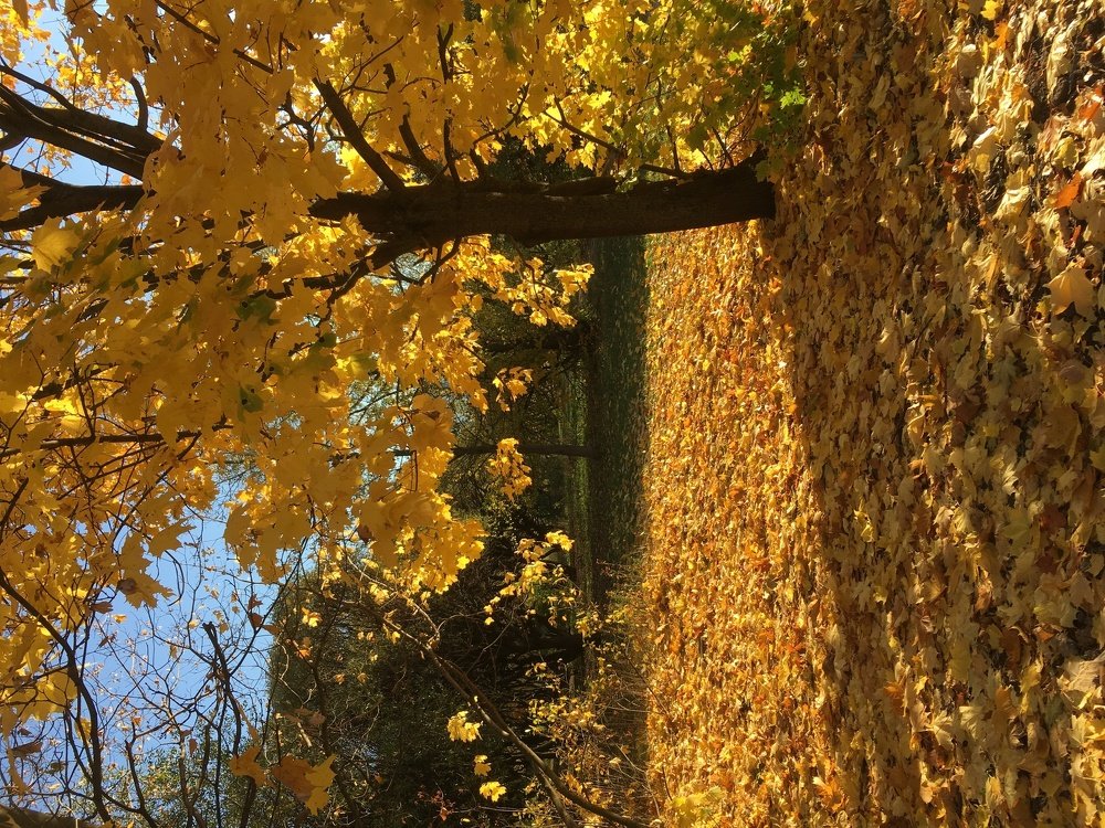 Photograph by Ирина