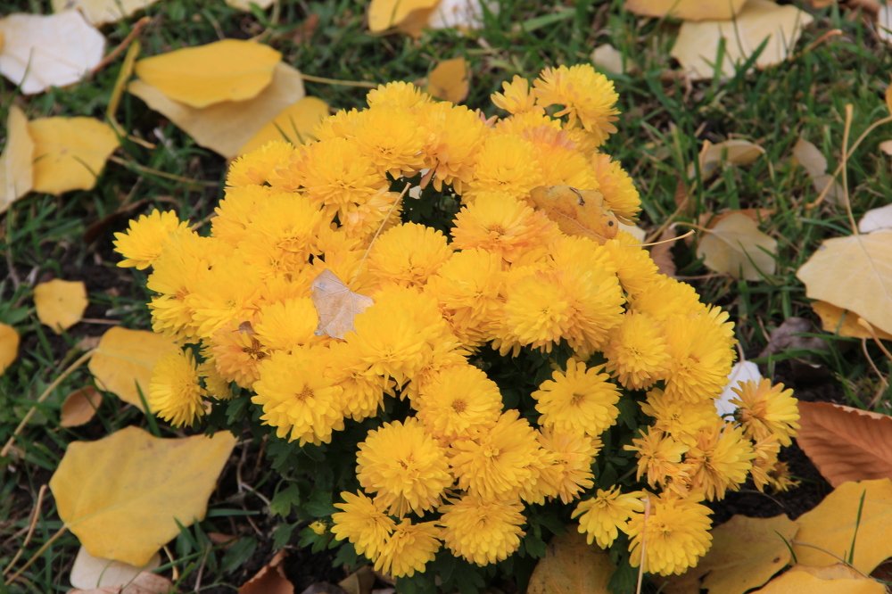 Photograph by Elena Khalizova