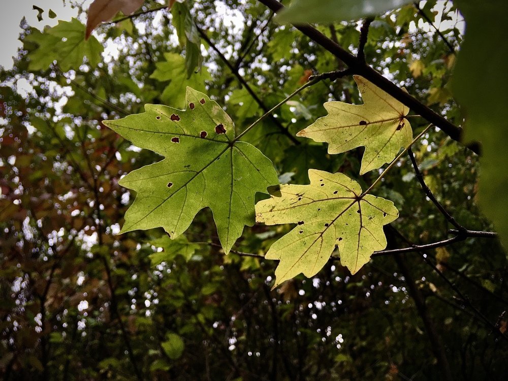 Photograph by Дмитрий Долгов