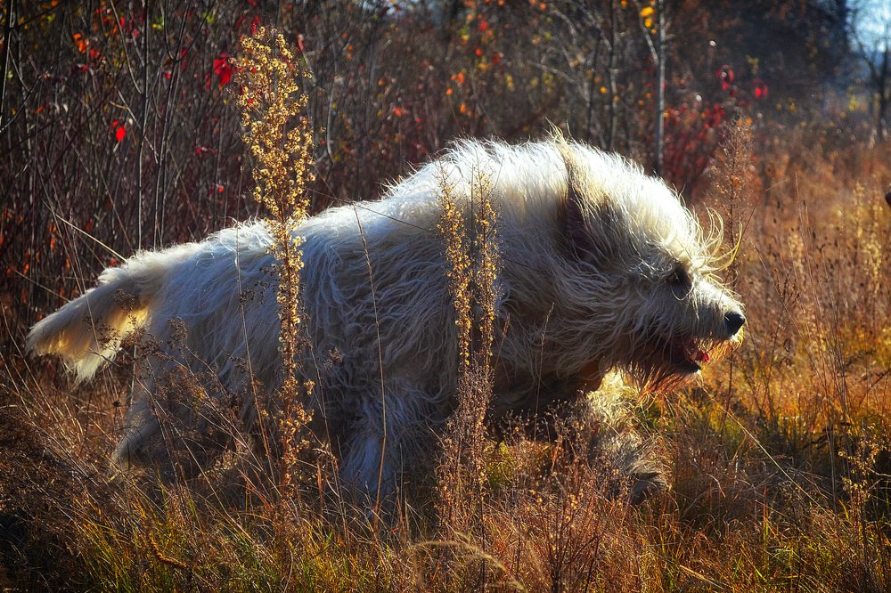 Photograph by Cергей Землянский
