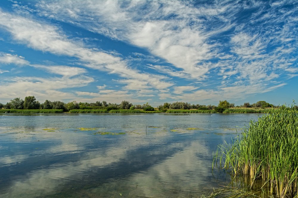 Photograph by Елена Ковалева