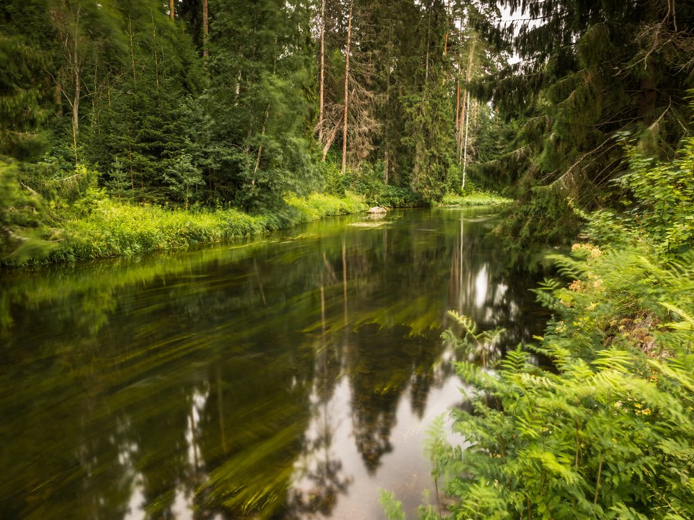 Photograph by Евгений Волосков