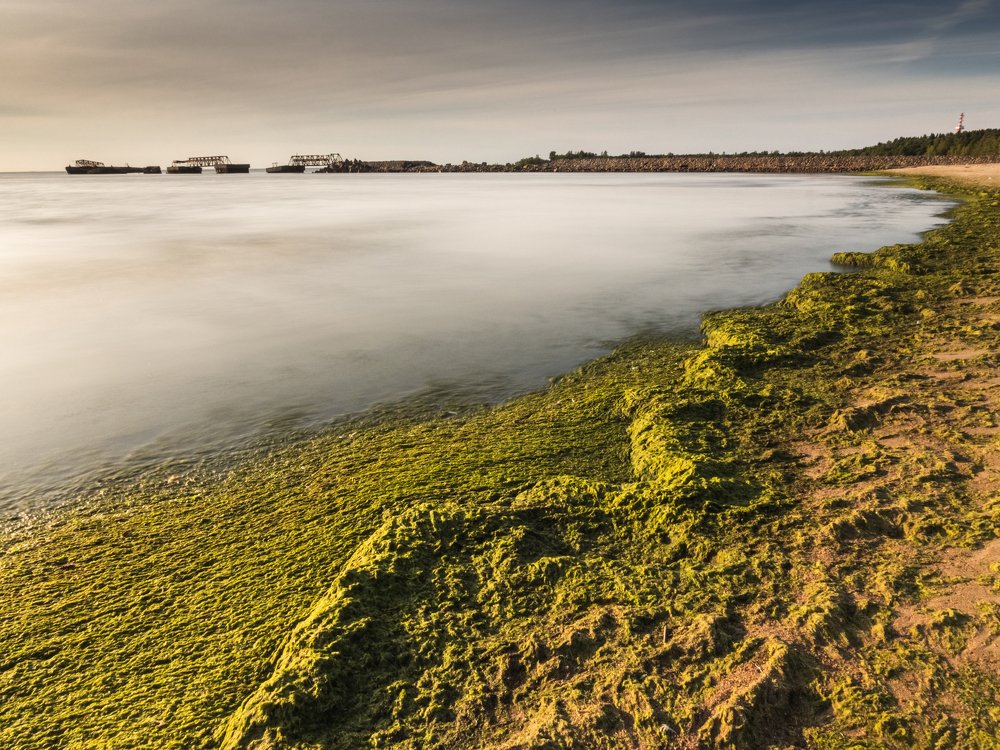 Photograph by Евгений Волосков