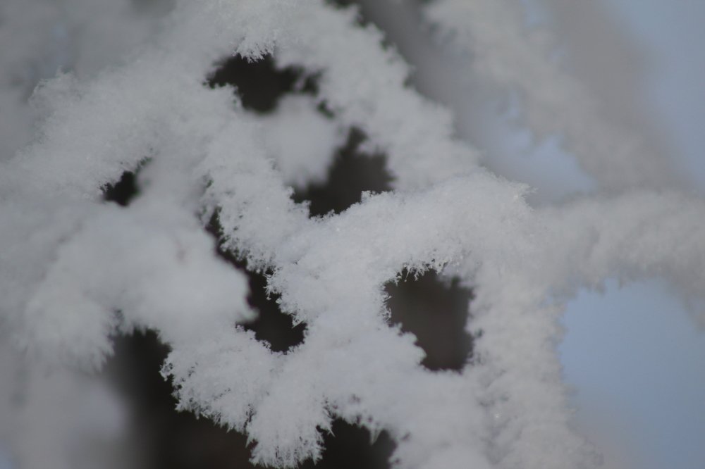 Photograph by Elena Khalizova