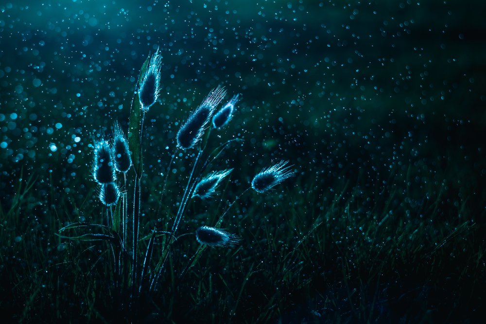 Photograph by Татьяна Антонюк