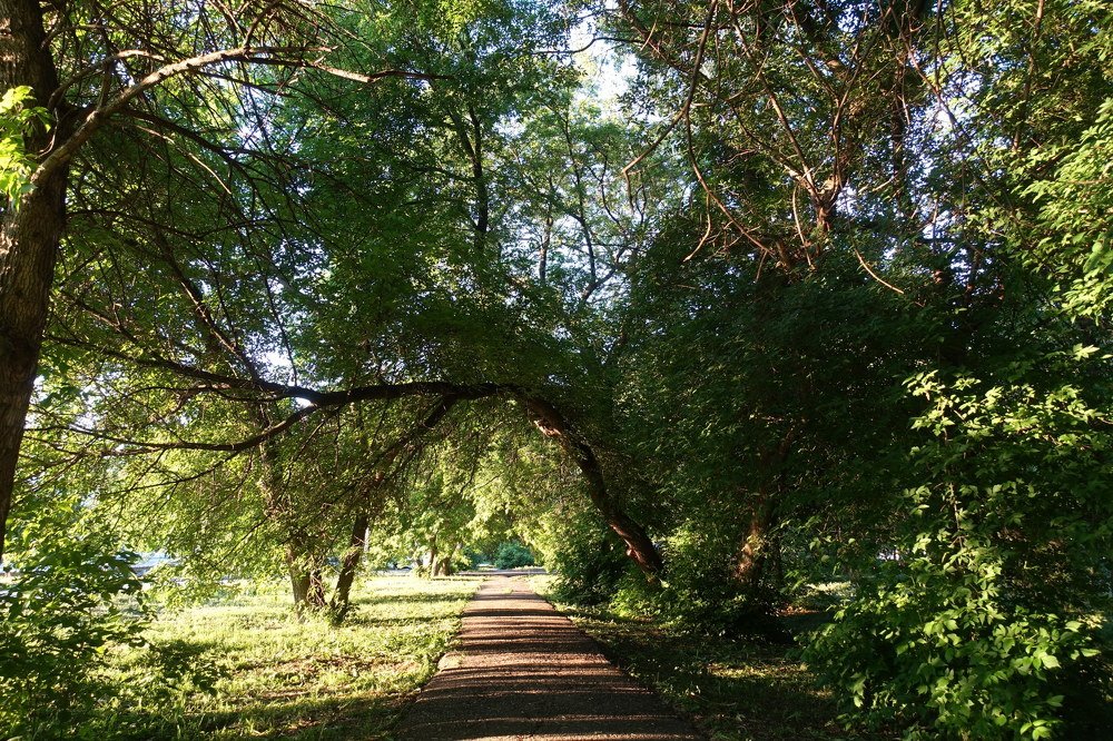 Photograph by 