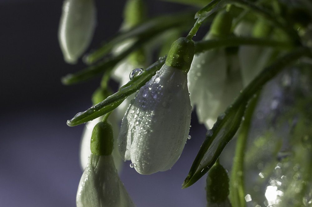 Фотография автора Анна Вигера