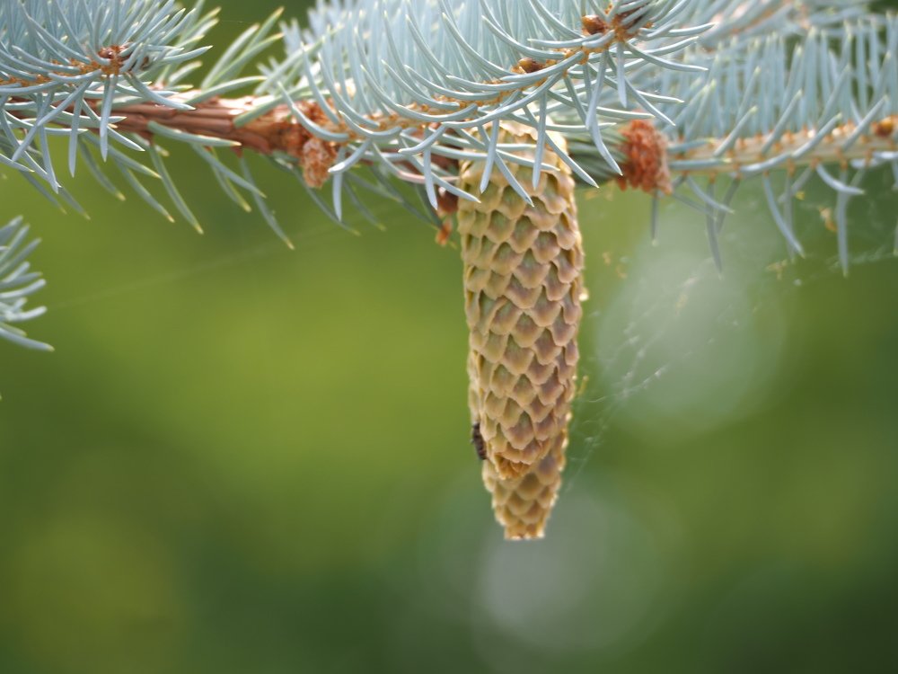 Photograph by Elena Khalizova