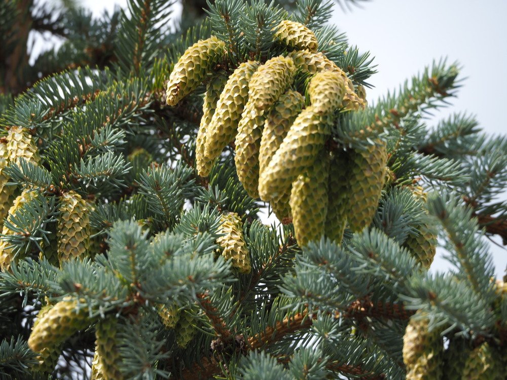 Photograph by Elena Khalizova