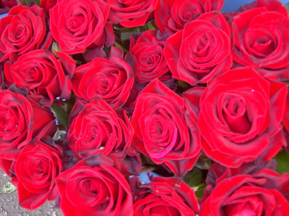 Photograph by Elena Khalizova