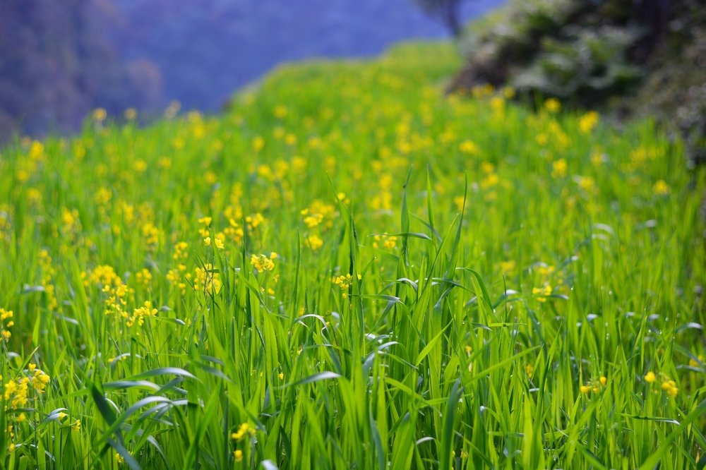 Photograph by Анатолий Орлов