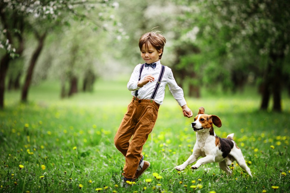 Фотография автора Гудкова Светлана