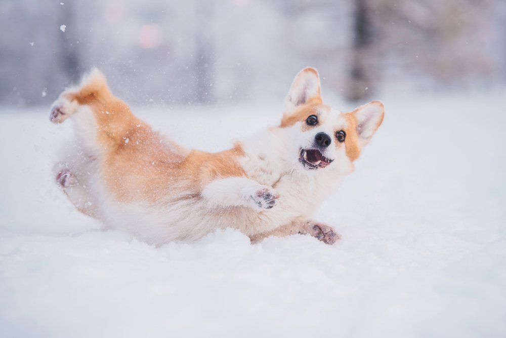 Photograph by Мария Иванушкина