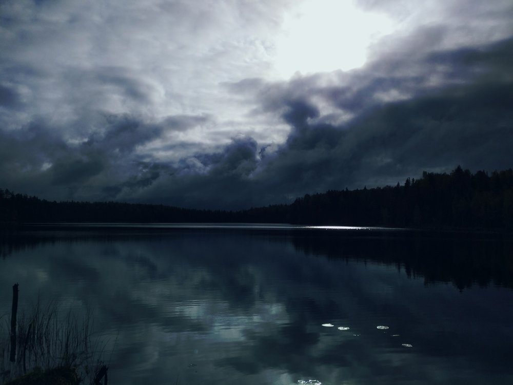 Вечер над лесным озером