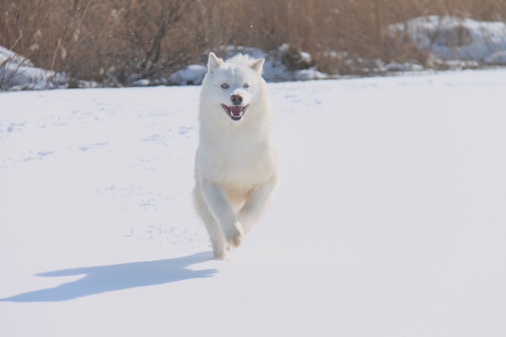 Photograph by Игорь Улитин