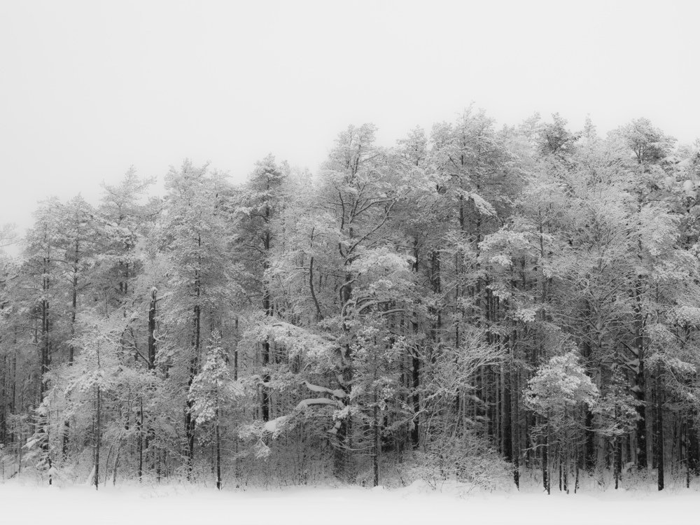 Photograph by Евгений Волосков