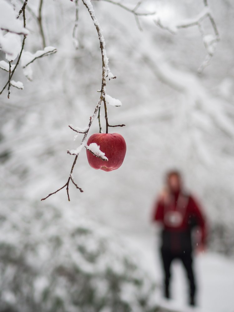 Photograph by Евгений Волосков