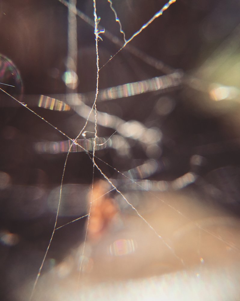 Photograph by Татьяна Калайда