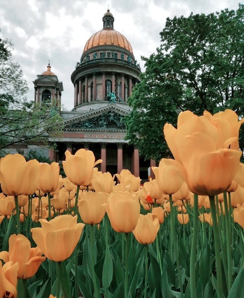 Исаакиевский собор весной