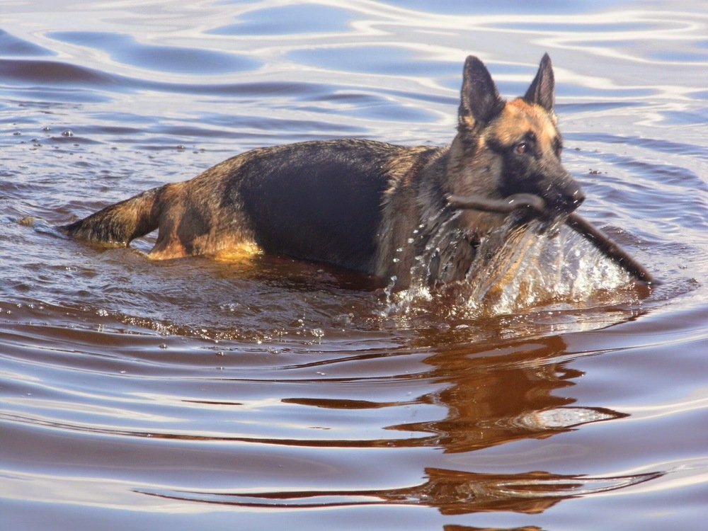 Photograph by Елена Грошева