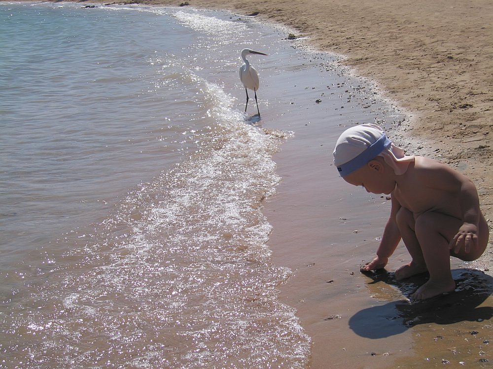 Photograph by Михаил Строев