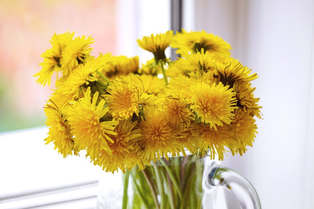 Photograph by Наталья