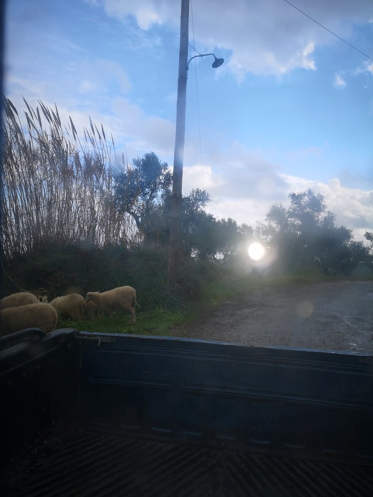 Фотография автора Maria Tsitoura