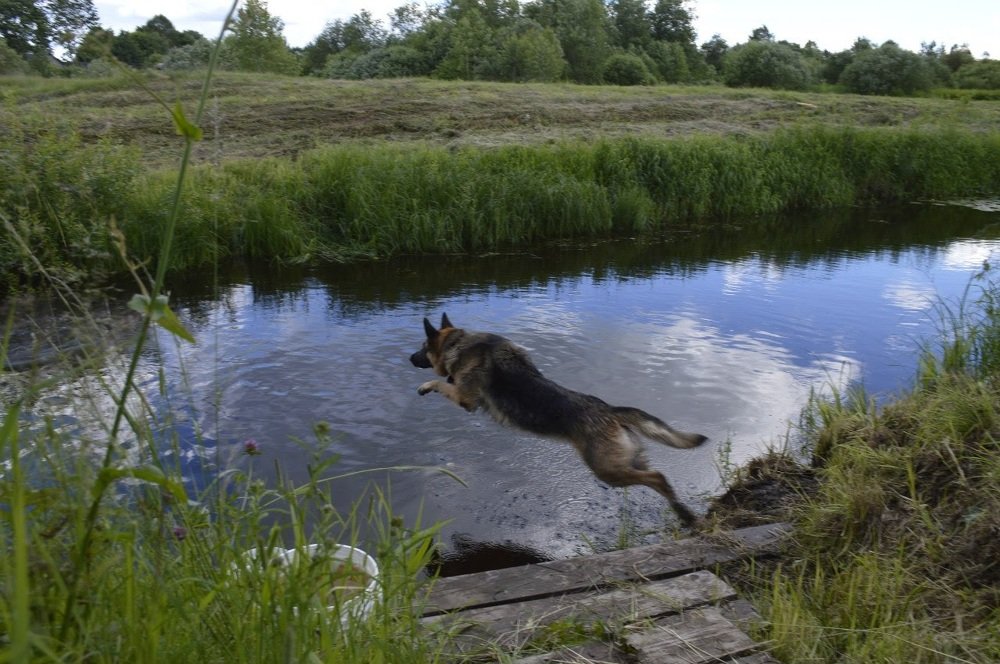 Photograph by Елена Грошева