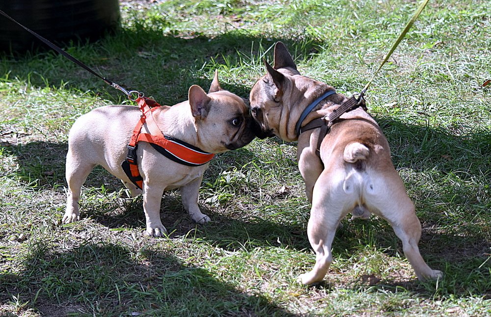 Movement towards each other