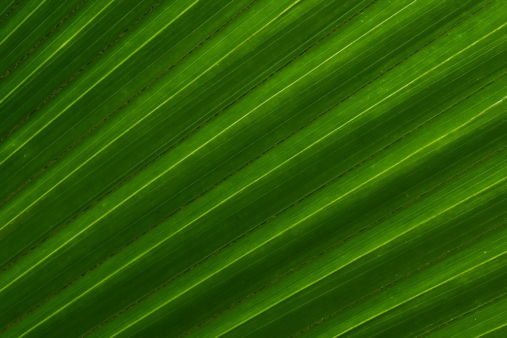 Photograph by Сергей Духанин