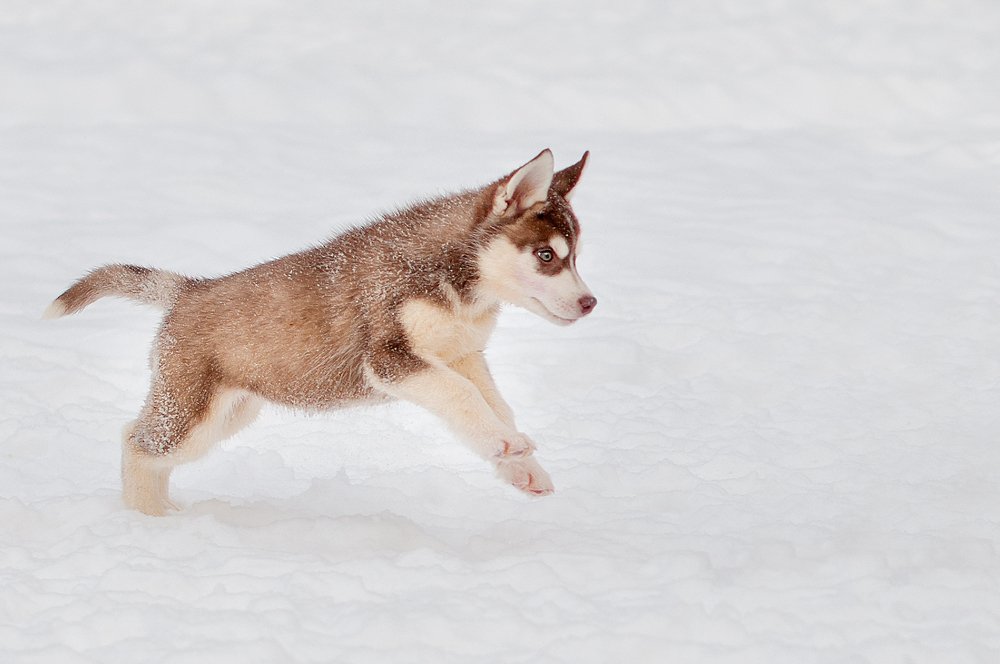 Photograph by Людмила Потапова