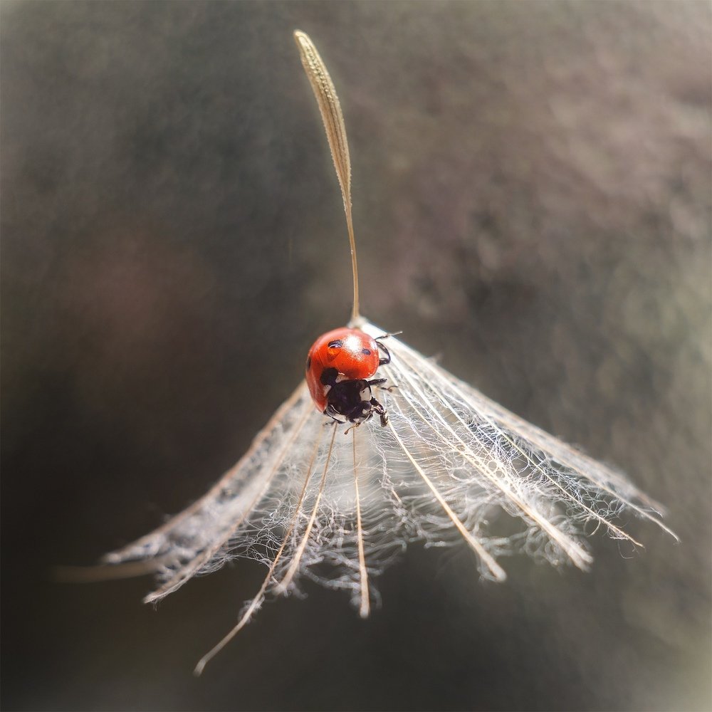 Photograph by Аксана Чалова