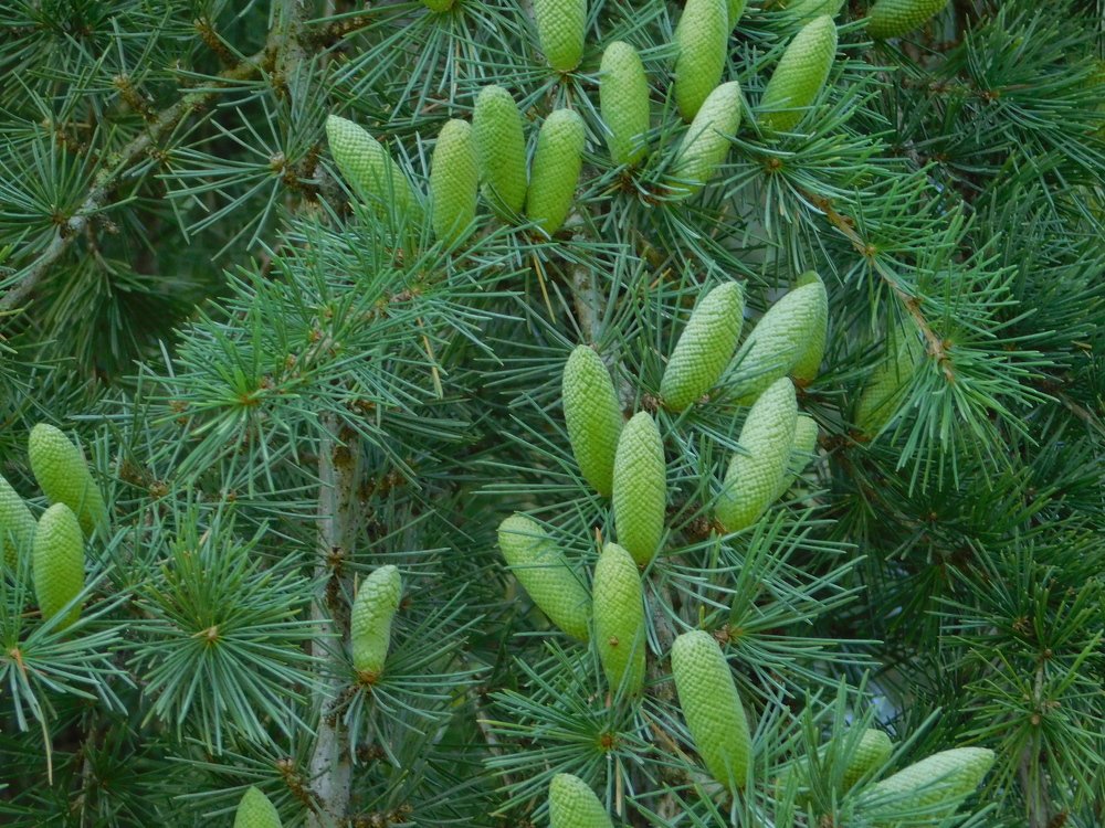 Photograph by Елена Грошева