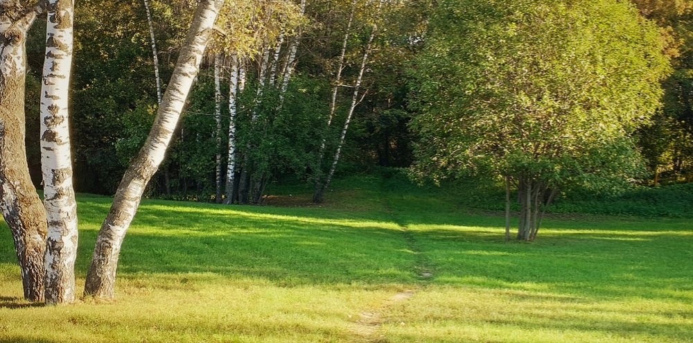 Photograph by Алина Веремеенко